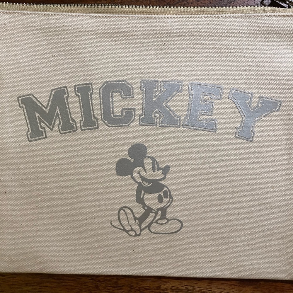 Mickey makeup bag